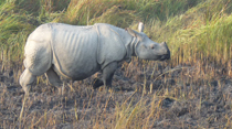 Central National Park