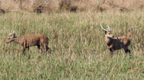 Central National Park